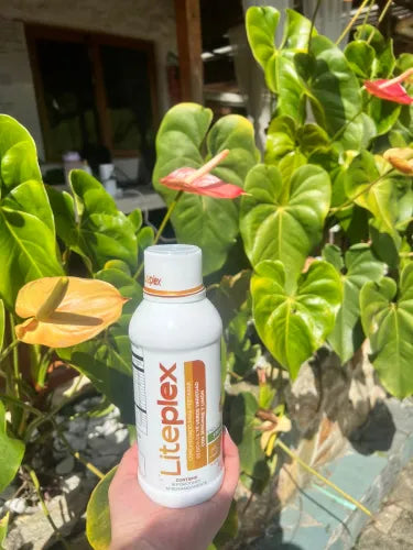 Liteplex - Alivio para la Gastritis y el Reflujo